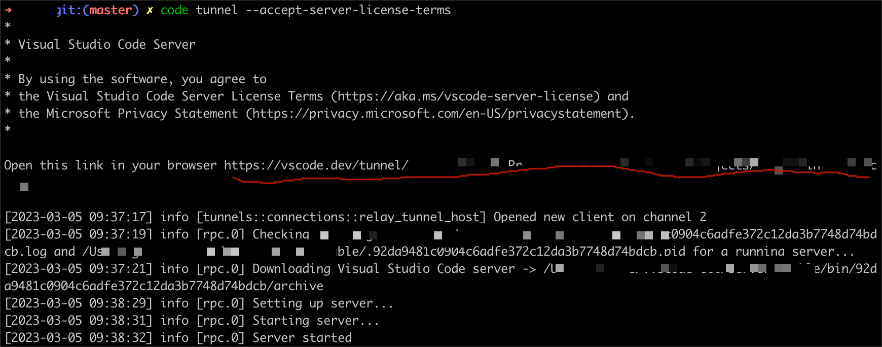 Start code server from cli
